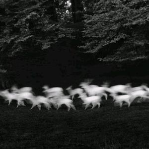 小雨和公做爰22集
